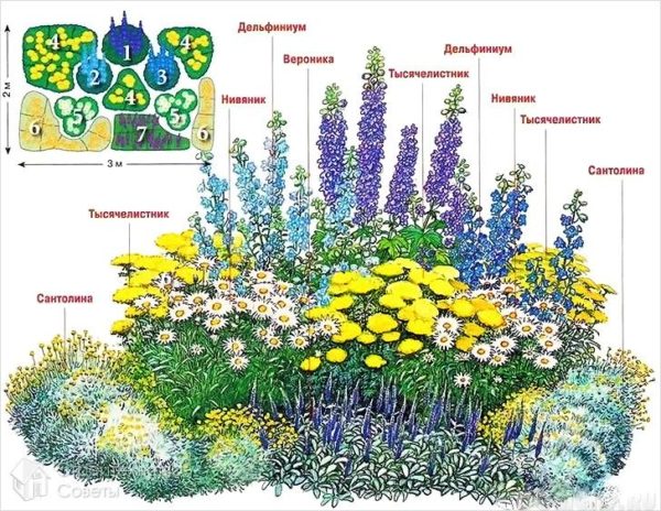 flower garden until late autumn