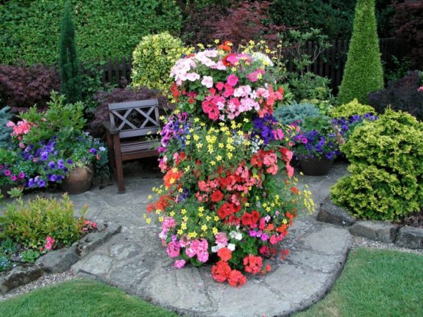 flower beds in the country with your own hands