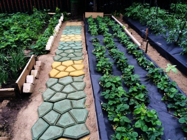 DIY paths