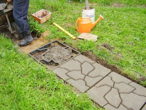 mold track