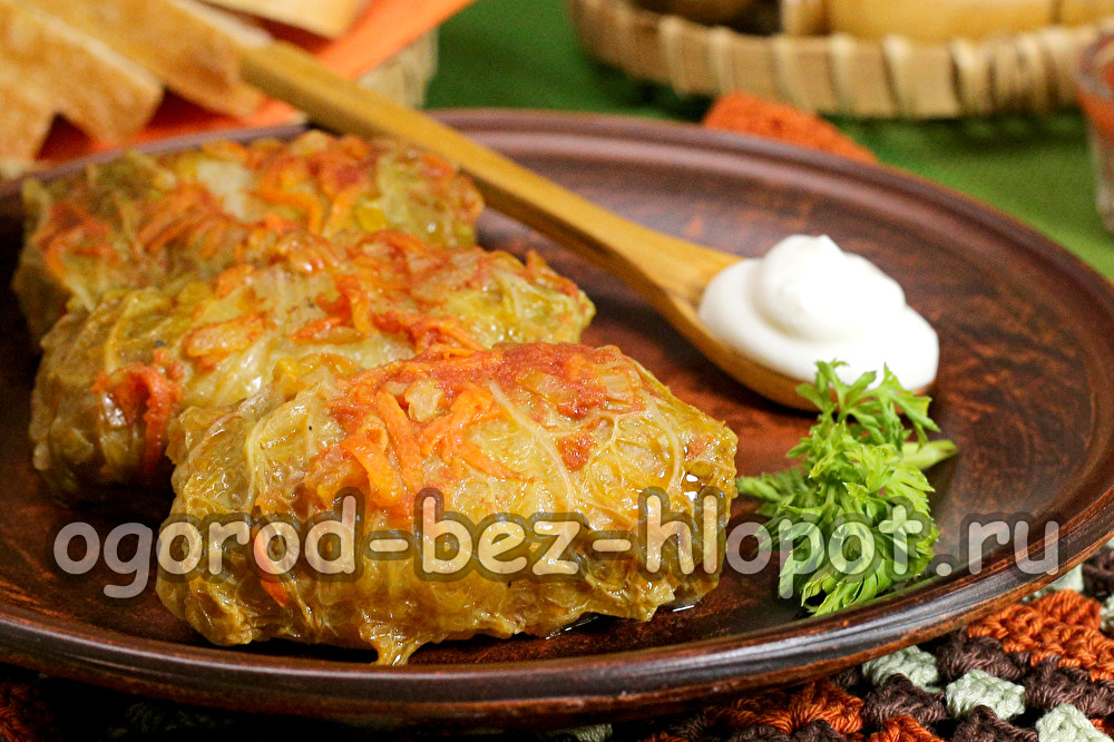 cabbage stuffed cabbage