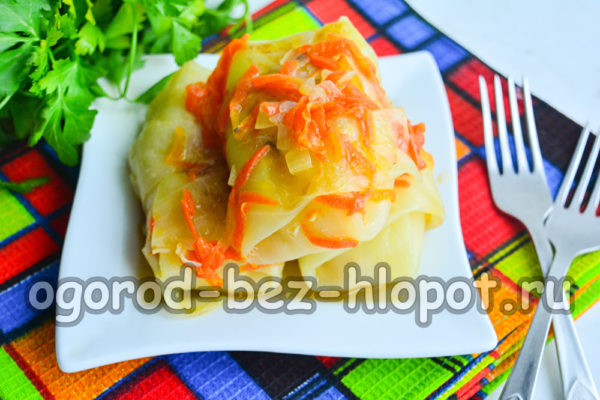 cabbage rolls