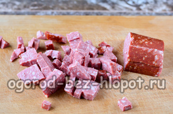 sjeckana kobasica