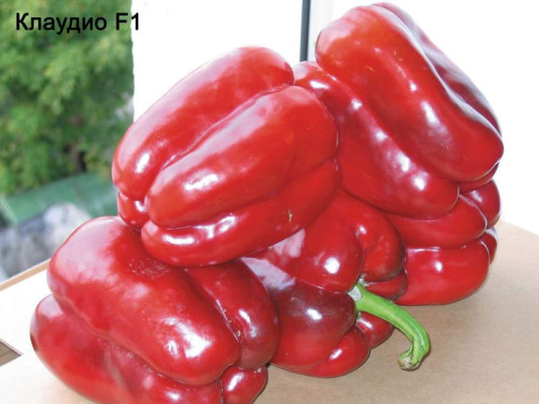 okomito sušene paprike