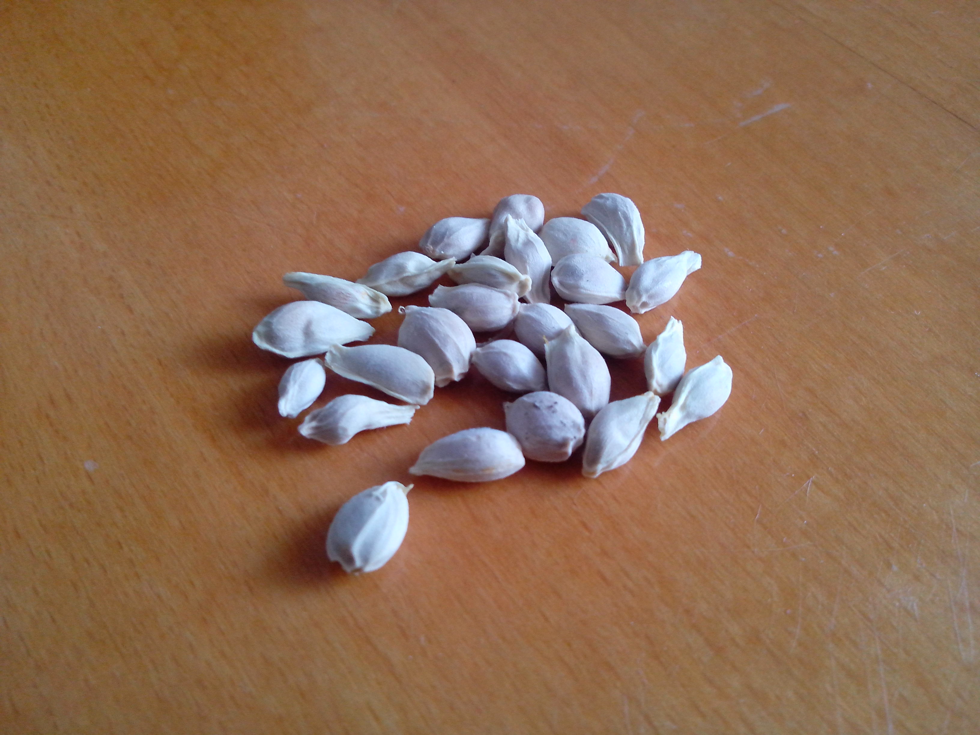 Mandarin Bones