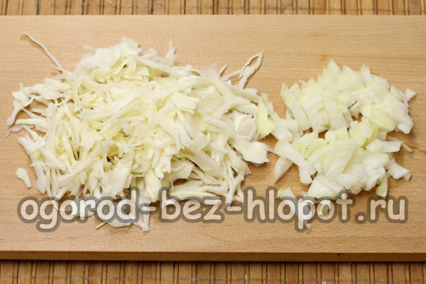 chop onion, chop cabbage