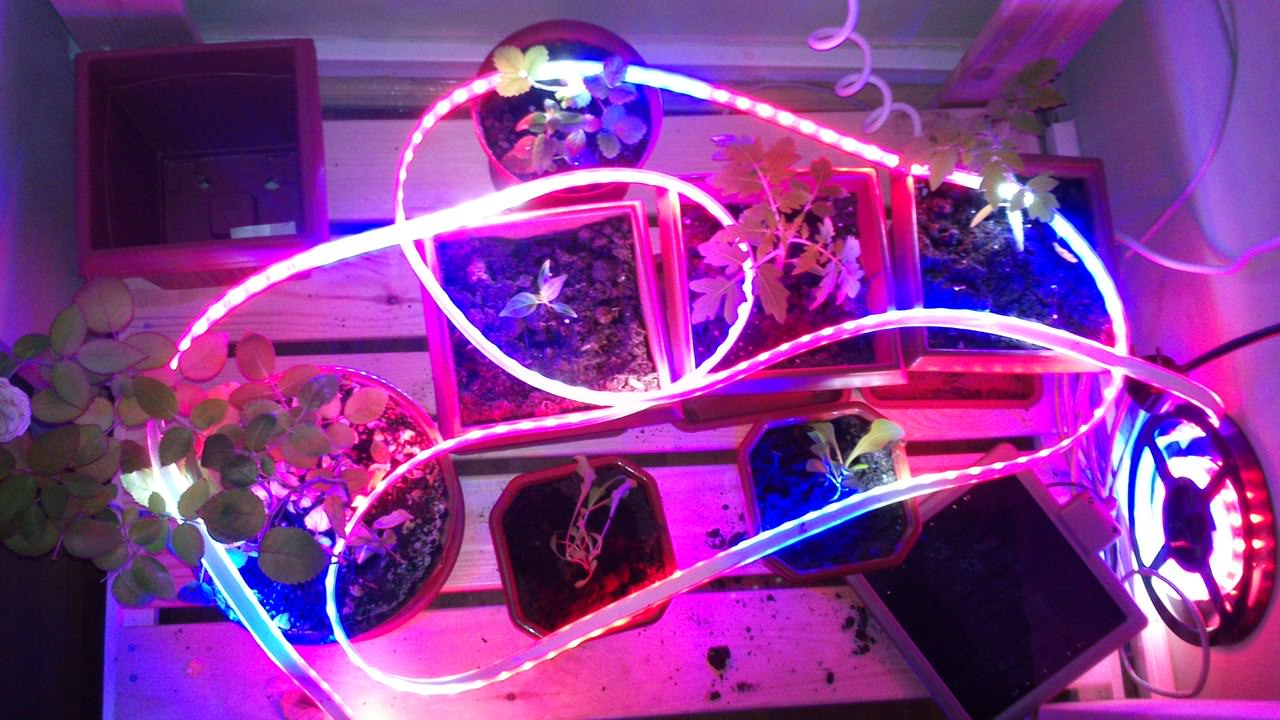 LED Strip Light