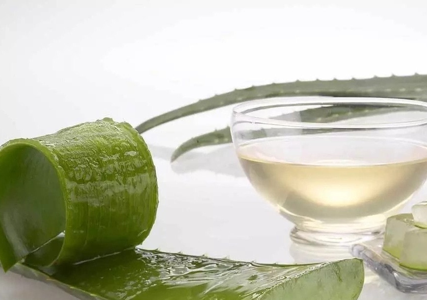 The use of aloe in cosmetology