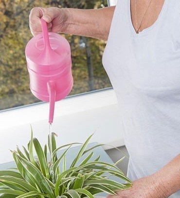 Watering