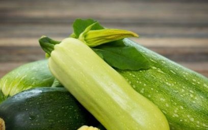 when to plant zucchini