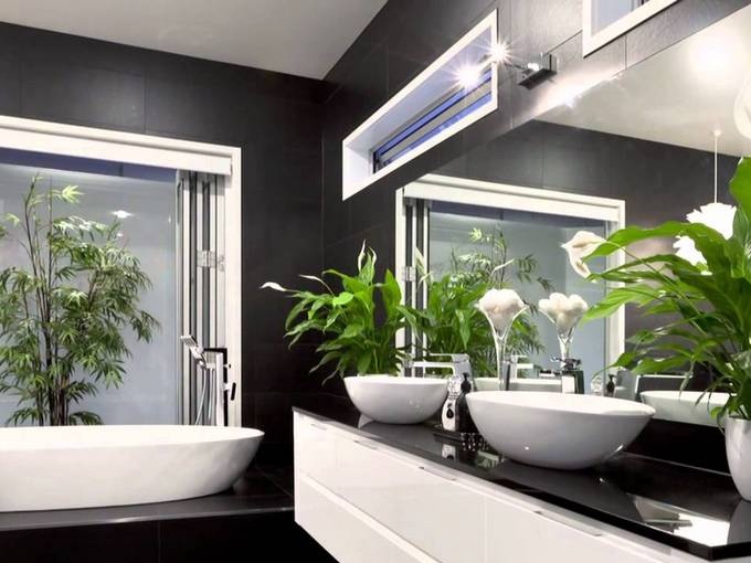 Plants for the bathroom