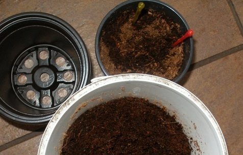 Transplantacijsko tlo