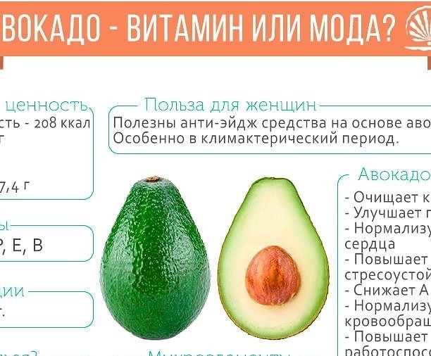 Avocado Composition
