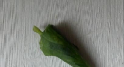 Turunda in the ear from a leaf of geranium
