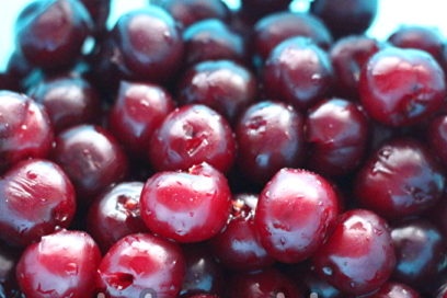 dry the berries