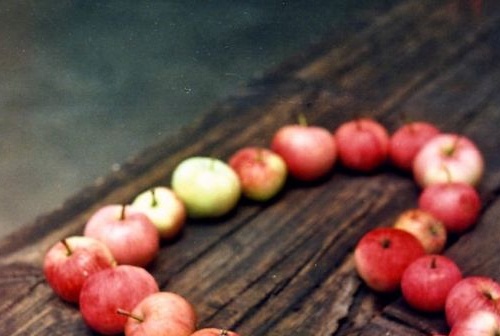The apples