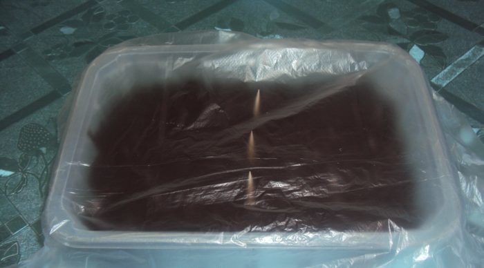 Seed container under the film