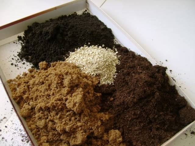 Pepper seedling soil