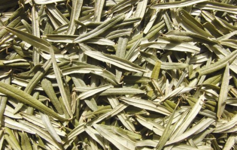 Leaves