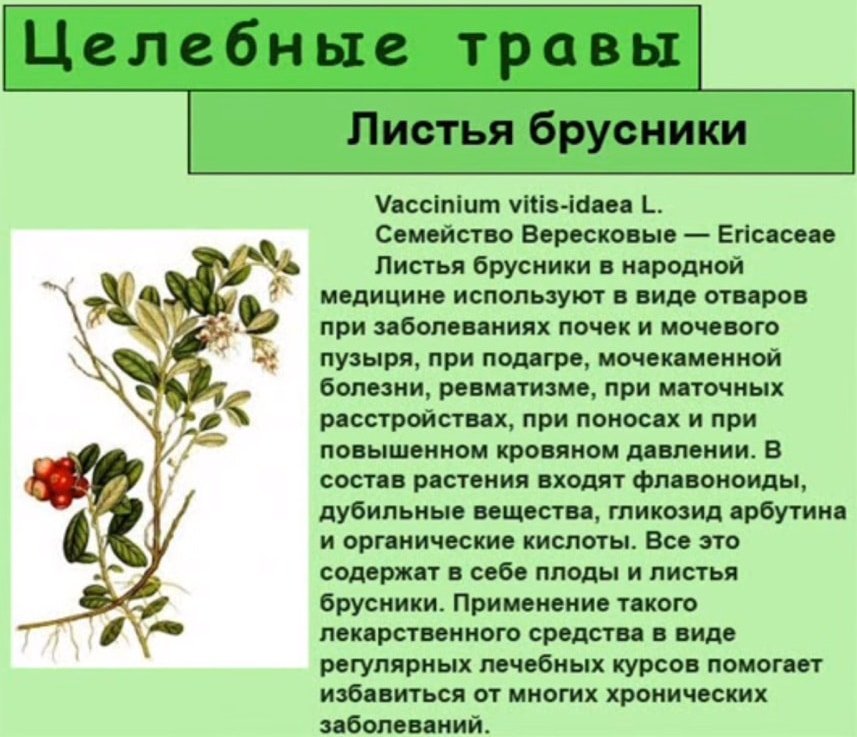 Healing properties of leaves