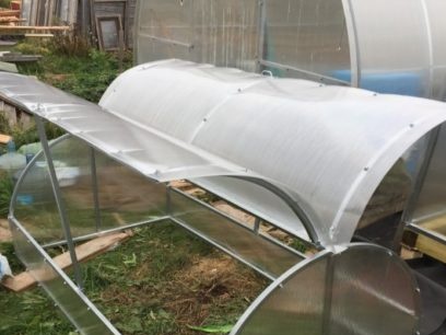 greenhouse polycarbonate bread box
