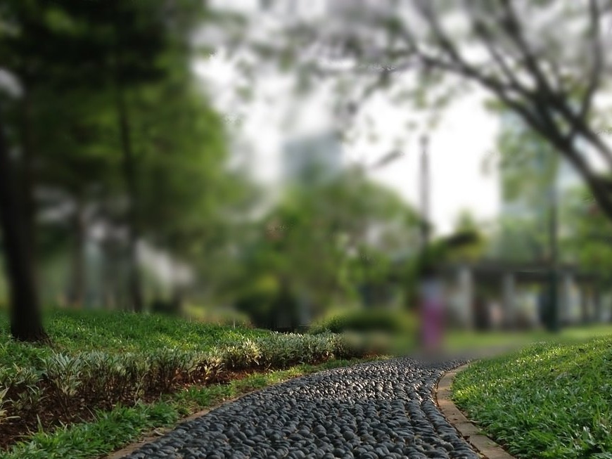 DIY garden paths