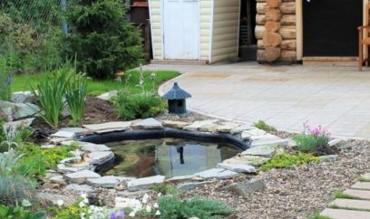 pond on the site