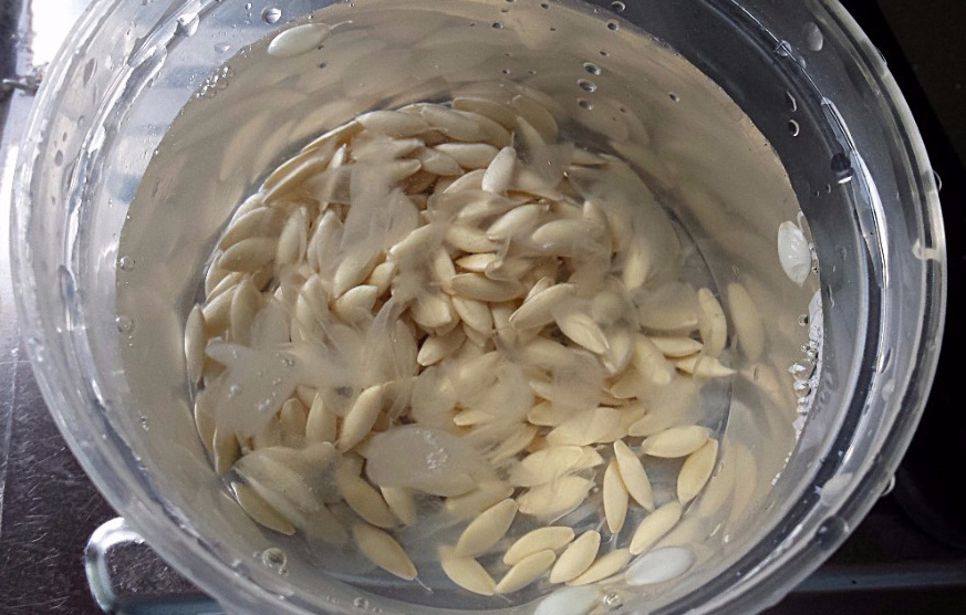Seed soaking