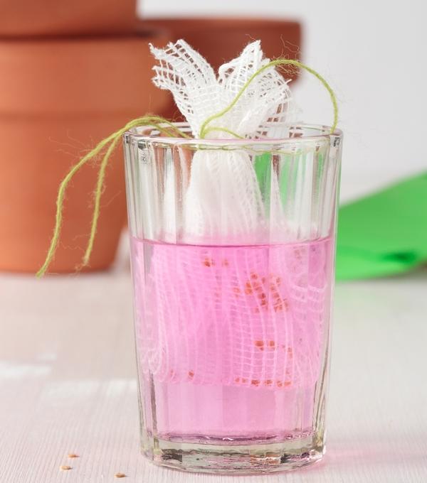 Disinfection