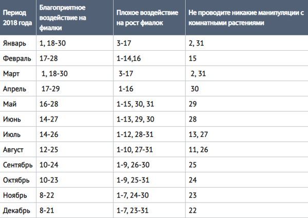 Lunar calendar of violets