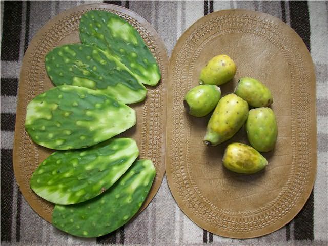 Fruit