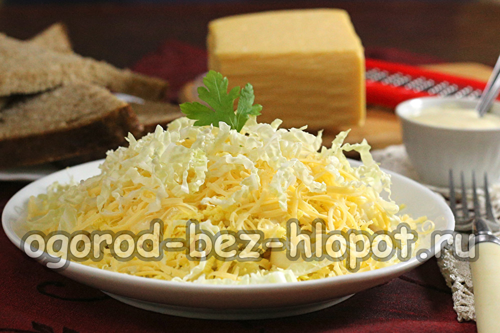 Labud od lanene salate