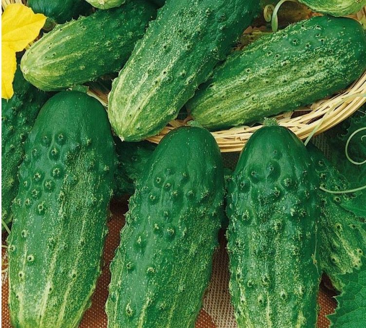 Barrel pickling