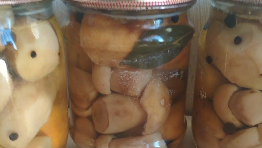 Pickled porcini mushrooms
