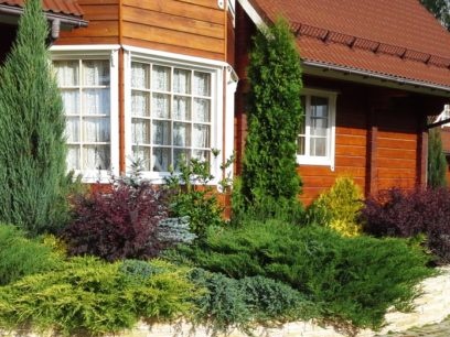 site gardening