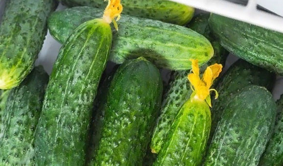 Cucumbers