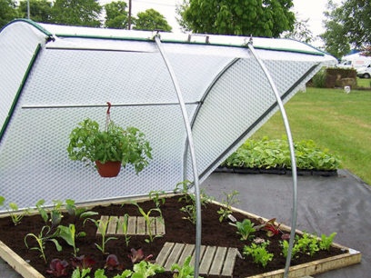 greenhouse bread box
