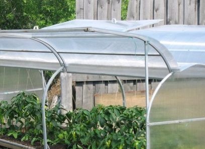 greenhouse bread box