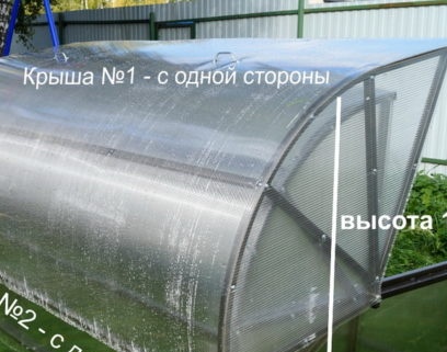 greenhouse bread box