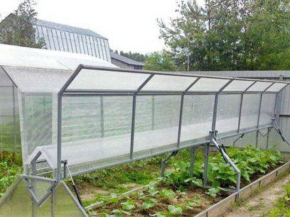 Open top polycarbonate greenhouses