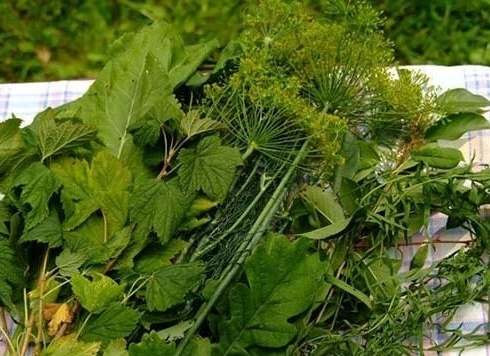 Spices for preservation