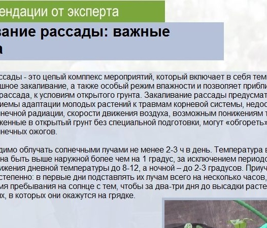 Rules for hardening seedlings