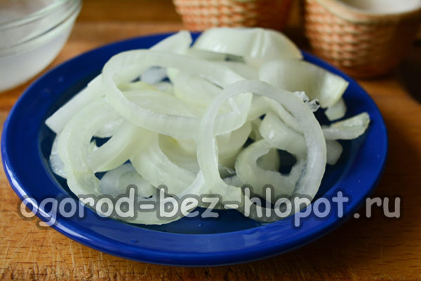 kiseli luk spreman