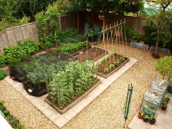 How to plan a plot in the country