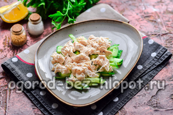 layer of chicken