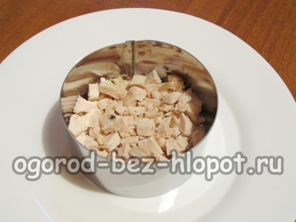 layer of chicken