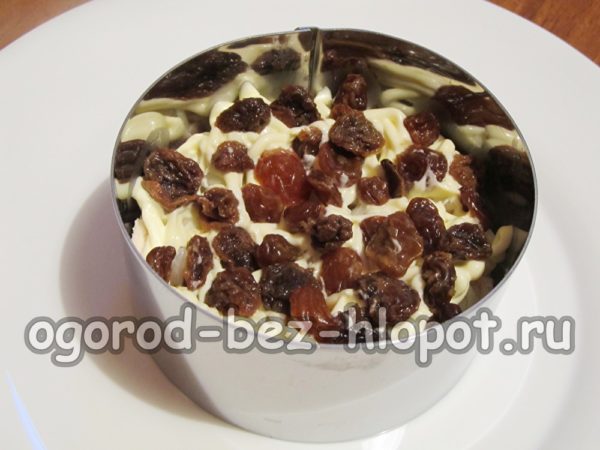 raisin layer