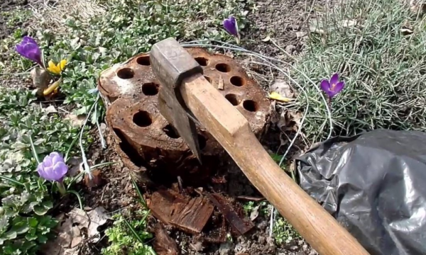 Stump na zemljištu