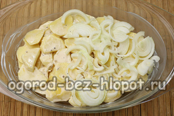 put onion on a layer of potato