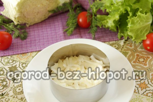 layer of pickled onions